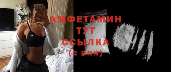 винт Ельня