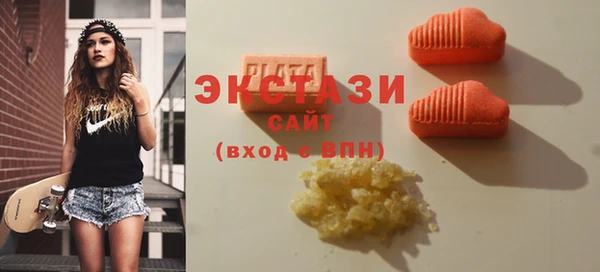винт Ельня