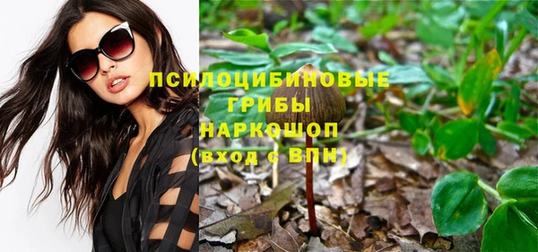 метадон Елизово