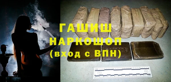 винт Ельня